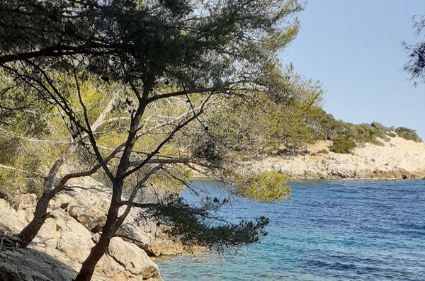 Immobilier Port d'Alon